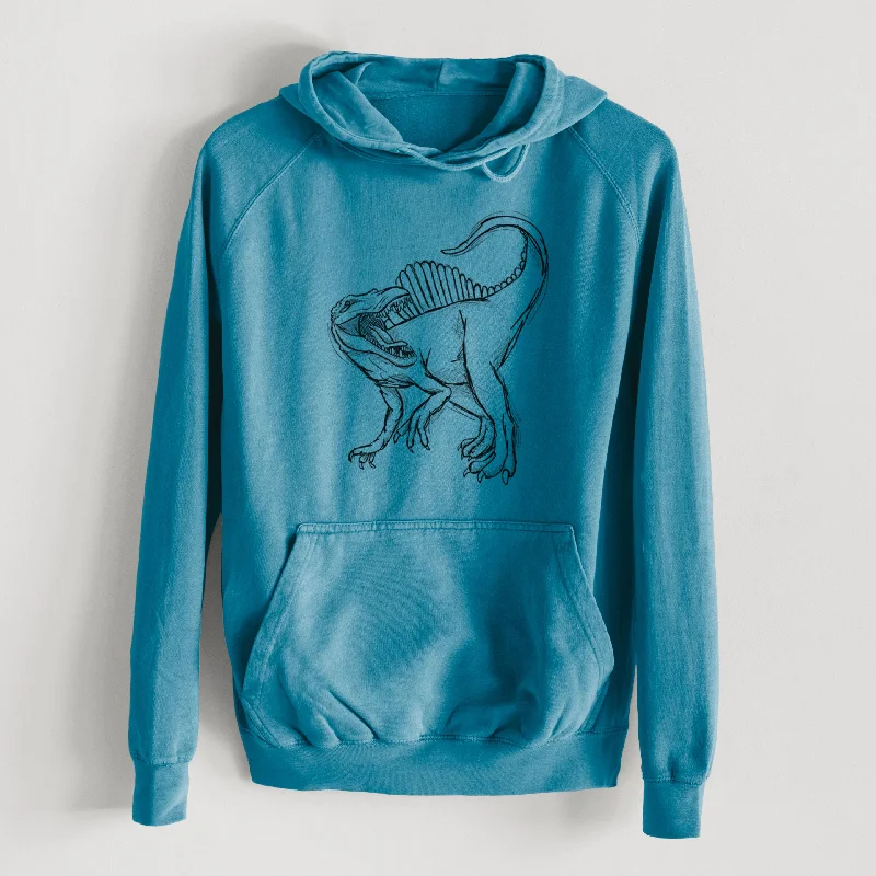 Spinosaurus Aegyptiacus - Mid-Weight Unisex Vintage 100% Cotton Hoodie Stylish Pullover Hoodie Spinosaurus Aegyptiacus - Mid-Weight Unisex Vintage 100% Cotton Hoodie Stylish Pullover Hoodie