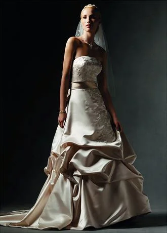 David's Bridal off-white strapless, A-line gown with a ivory wais Plus size unclassified dresses