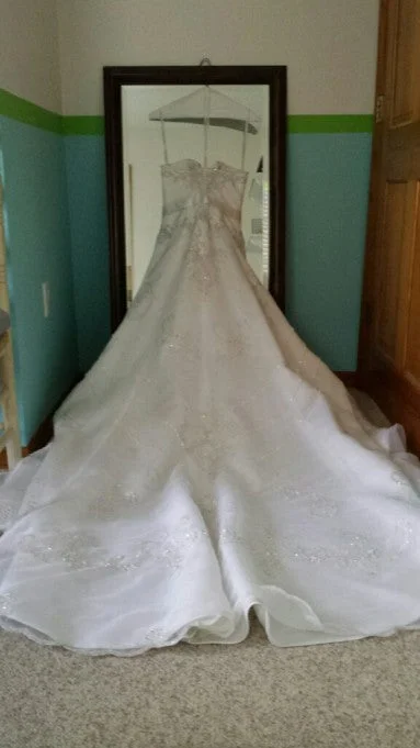 David's Bridal Oleg Cassini CT232 Metallic unclassified dresses