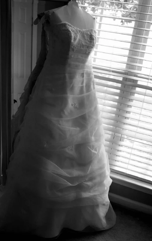 David's Bridal Organza A-line dress Winter unclassified dresses
