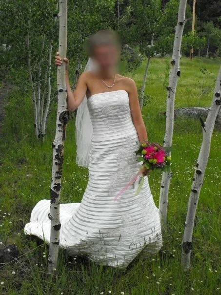 David's Bridal Oleg Cassini Collection Silk unclassified dresses